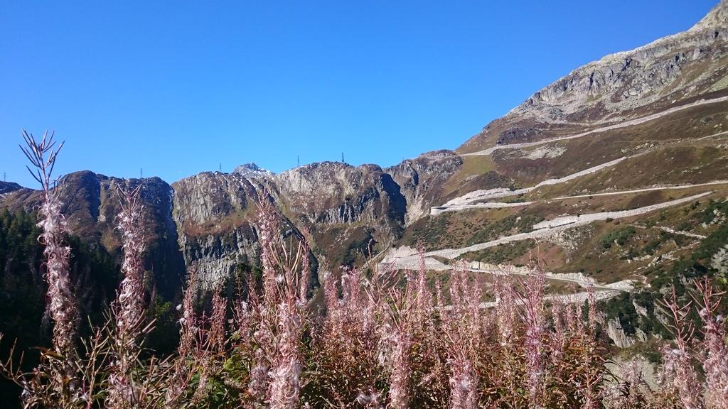 Hotel Garni Zimmermann Reith bei Kitzbuehel Ngoại thất bức ảnh