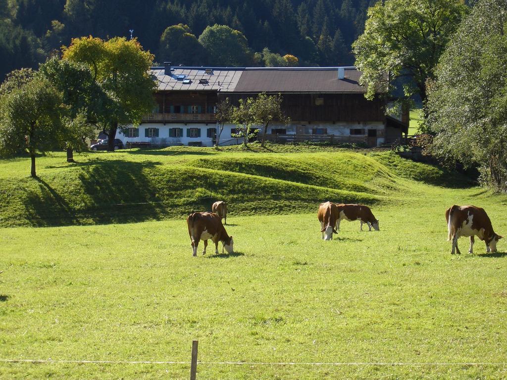 Hotel Garni Zimmermann Reith bei Kitzbuehel Ngoại thất bức ảnh