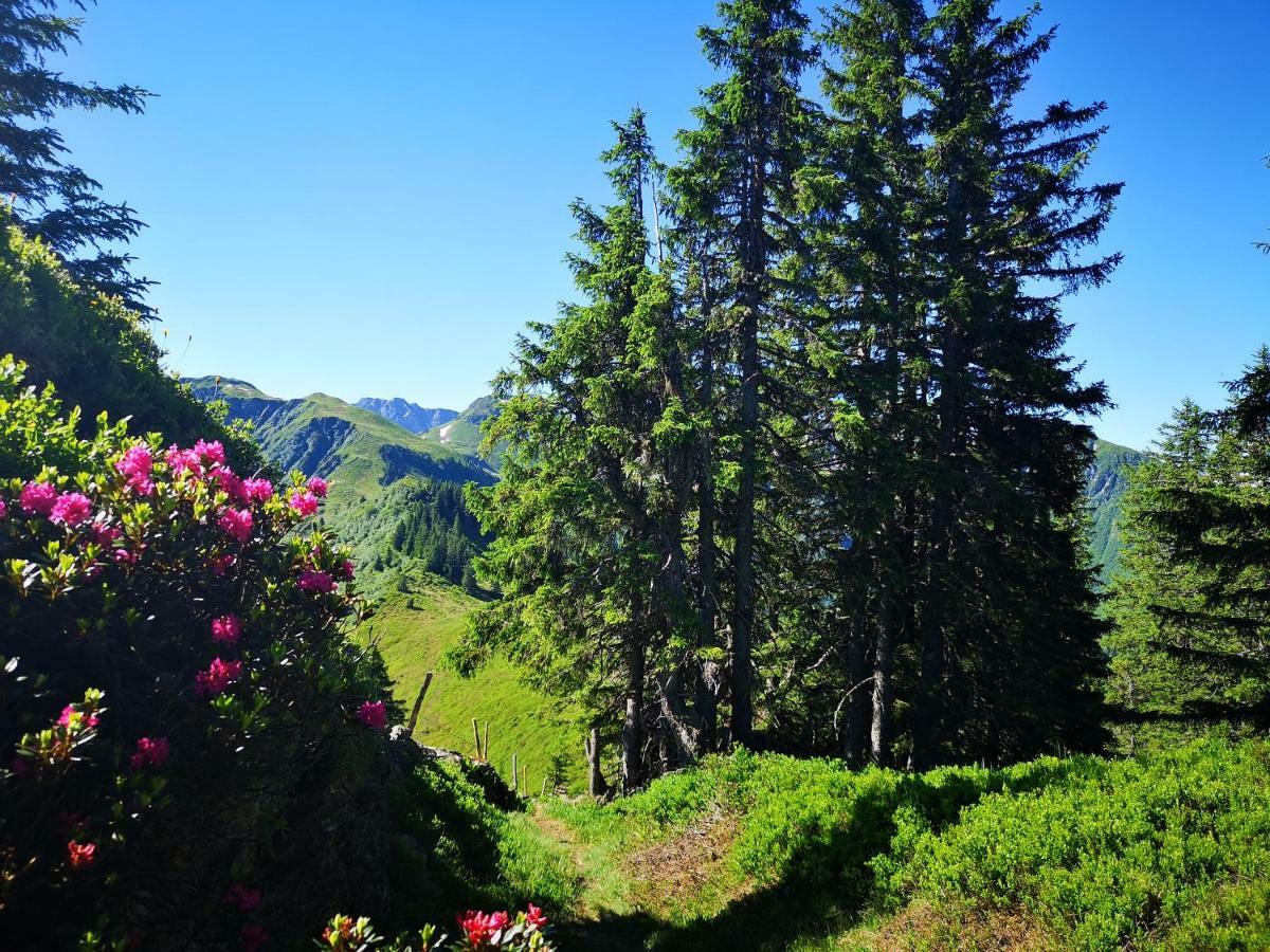 Hotel Garni Zimmermann Reith bei Kitzbuehel Ngoại thất bức ảnh